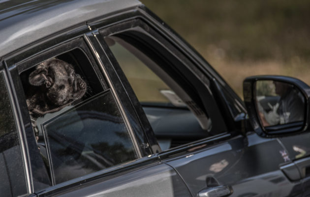 Land_Rover_Day_Valle_Aosta_201940