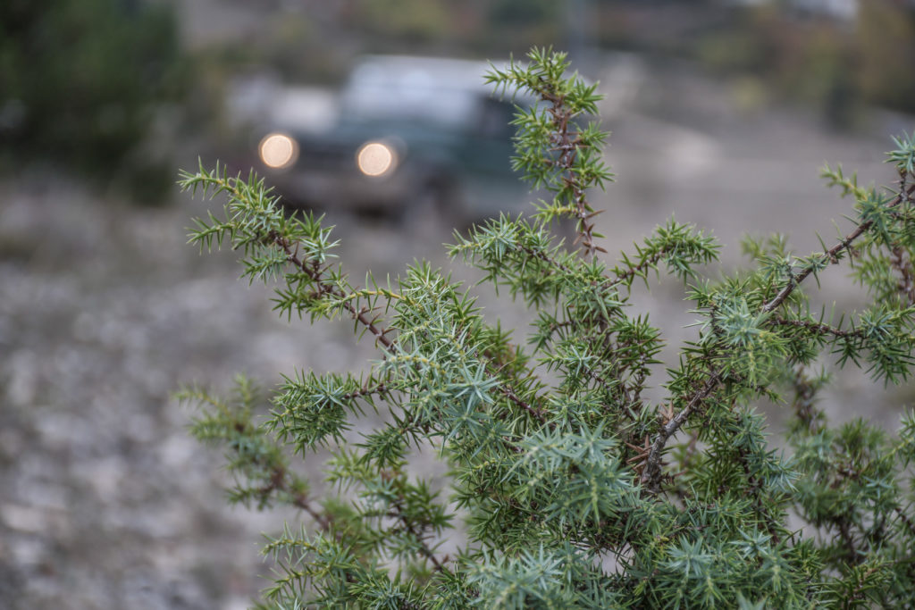 Tirreno_Adriatica_2019_Land_Rover_Experience_Italia_Registro_Italiano_Land_Rover150