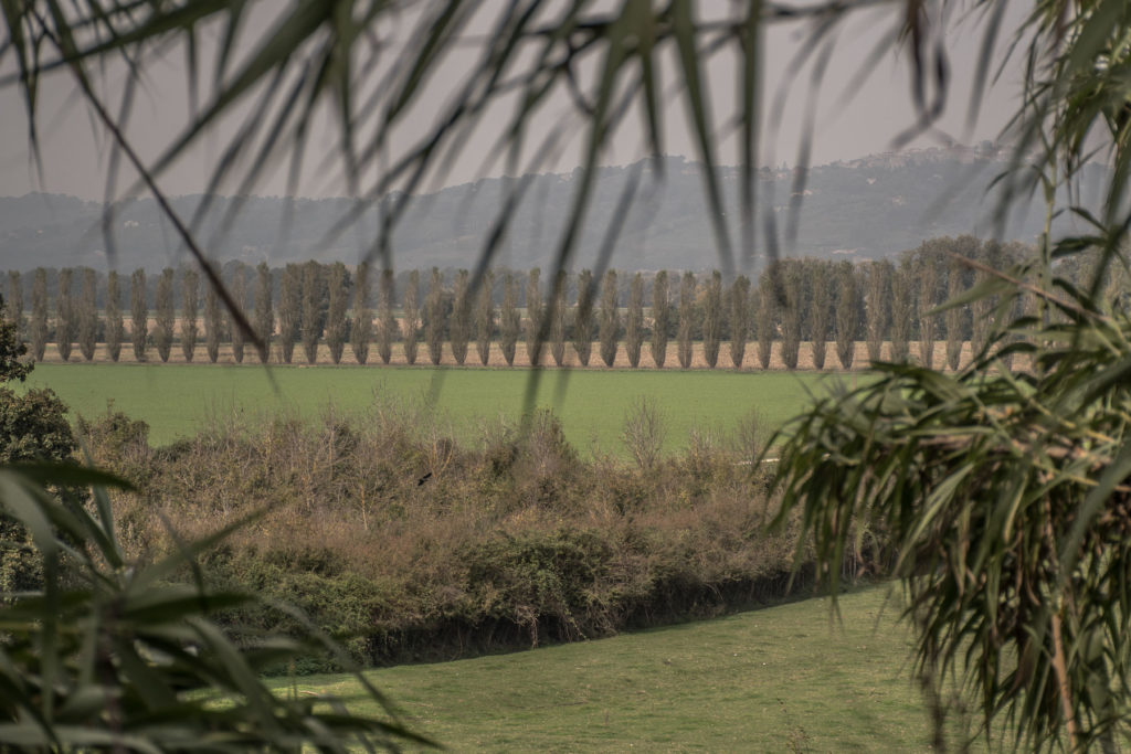 Tirreno_Adriatica_2019_Land_Rover_Experience_Italia_Registro_Italiano_Land_Rover31