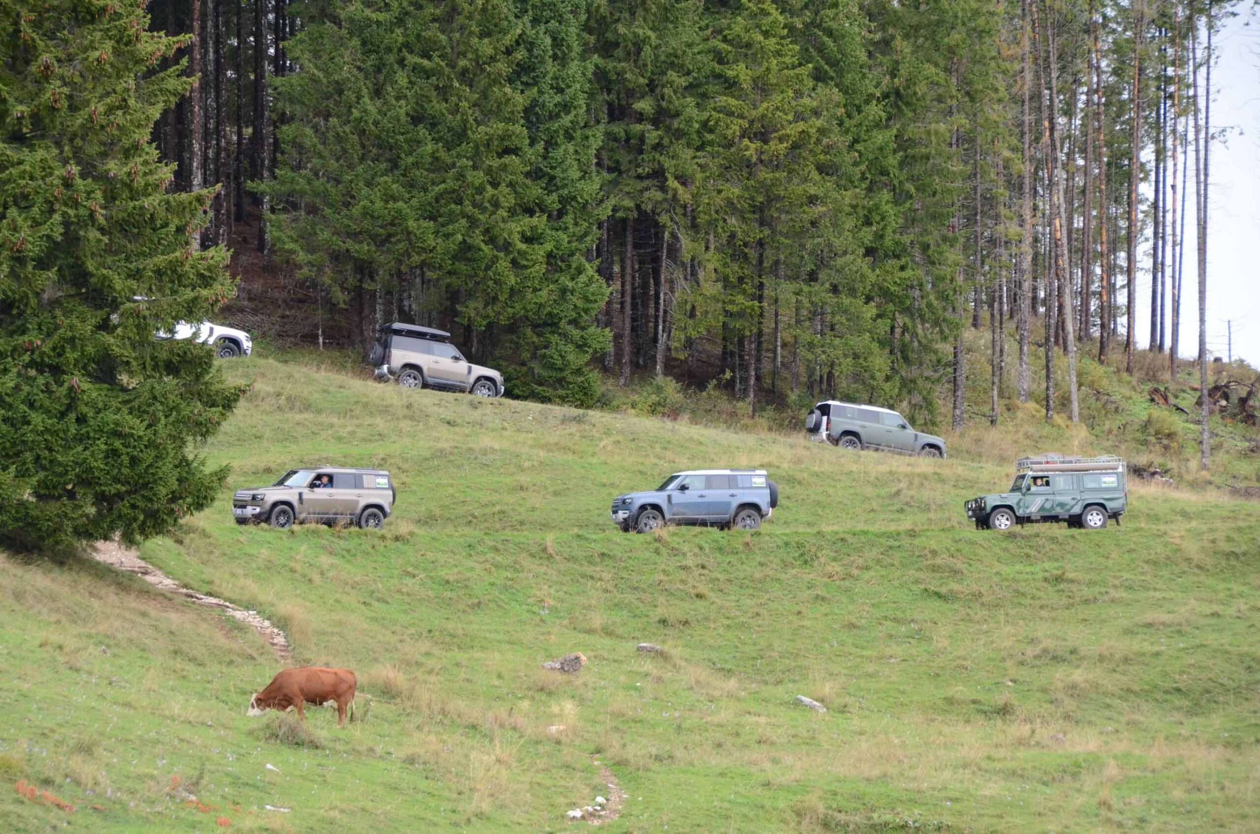 Land_Rover_Day_Veneto_Land_Rover_Experience_Sabato_-14
